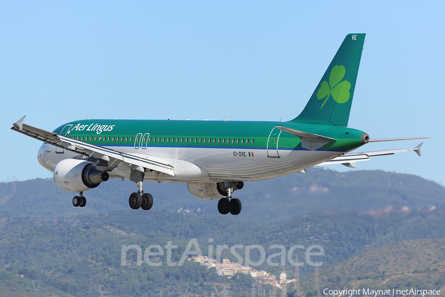 Aer Lingus Airbus A320-216 (EI-DVE) | Photo 214354