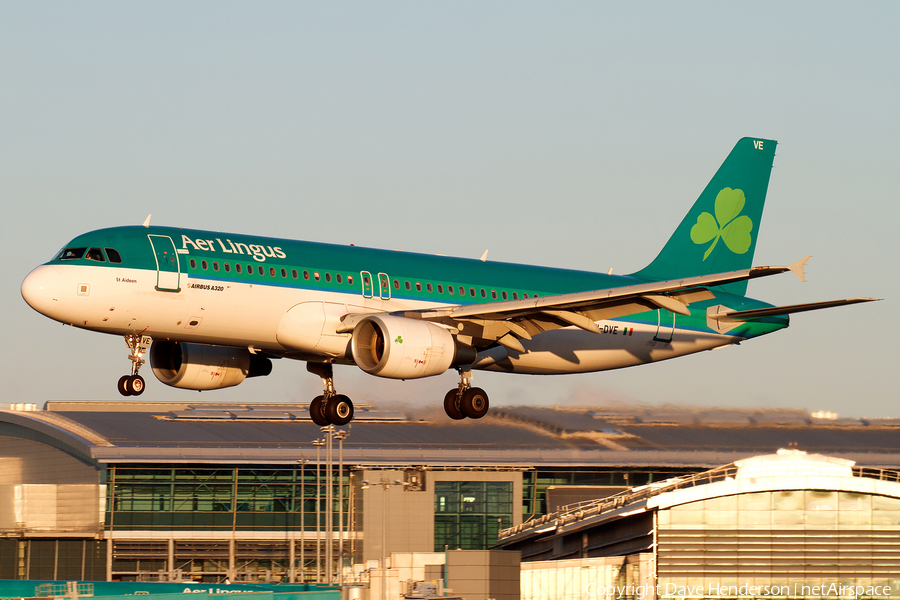Aer Lingus Airbus A320-216 (EI-DVE) | Photo 15361