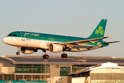 Aer Lingus Airbus A320-216 (EI-DVE) at  Dublin, Ireland