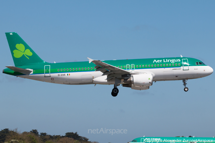 Aer Lingus Airbus A320-216 (EI-DVE) | Photo 162374