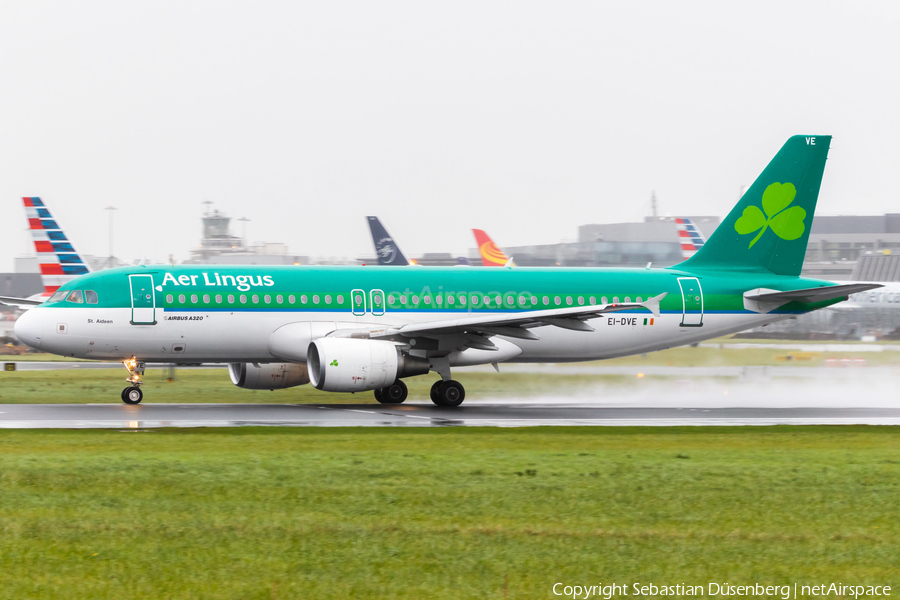 Aer Lingus Airbus A320-216 (EI-DVE) | Photo 290519