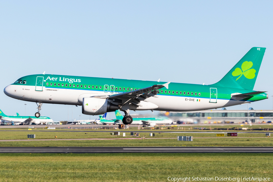 Aer Lingus Airbus A320-216 (EI-DVE) | Photo 291589
