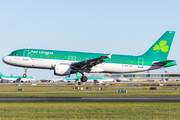 Aer Lingus Airbus A320-216 (EI-DVE) at  Dublin, Ireland