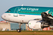 Aer Lingus Airbus A320-216 (EI-DVE) at  Dublin, Ireland