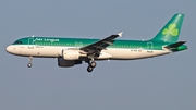 Aer Lingus Airbus A320-216 (EI-DVE) at  Dusseldorf - International, Germany