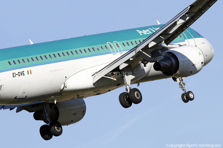 Aer Lingus Airbus A320-216 (EI-DVE) | Photo 67620