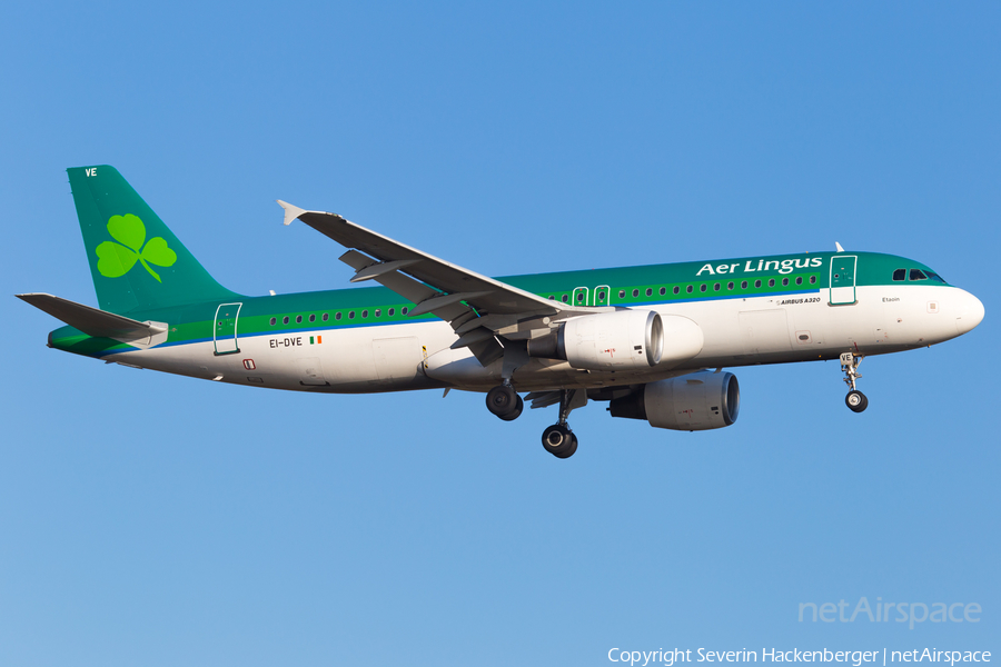 Aer Lingus Airbus A320-216 (EI-DVE) | Photo 226293