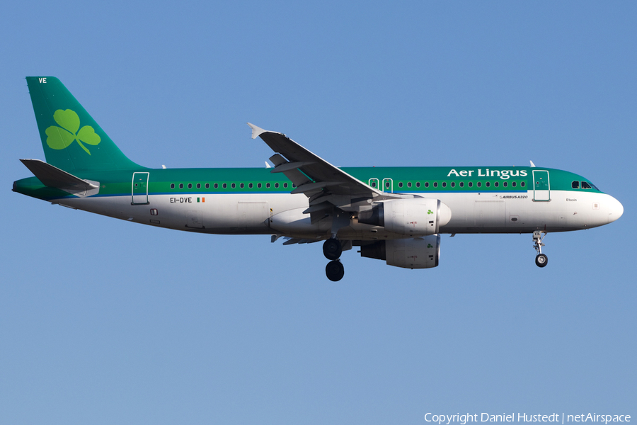 Aer Lingus Airbus A320-216 (EI-DVE) | Photo 503538