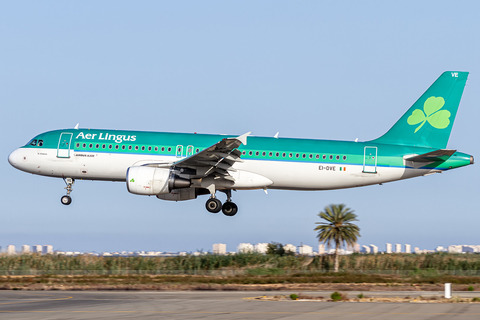 Aer Lingus Airbus A320-216 (EI-DVE) at  Murcia - San Javier, Spain