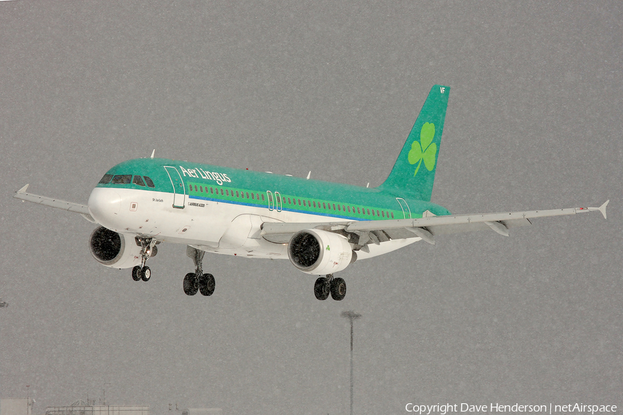 Aer Lingus Airbus A320-214 (EI-DVF) | Photo 19439