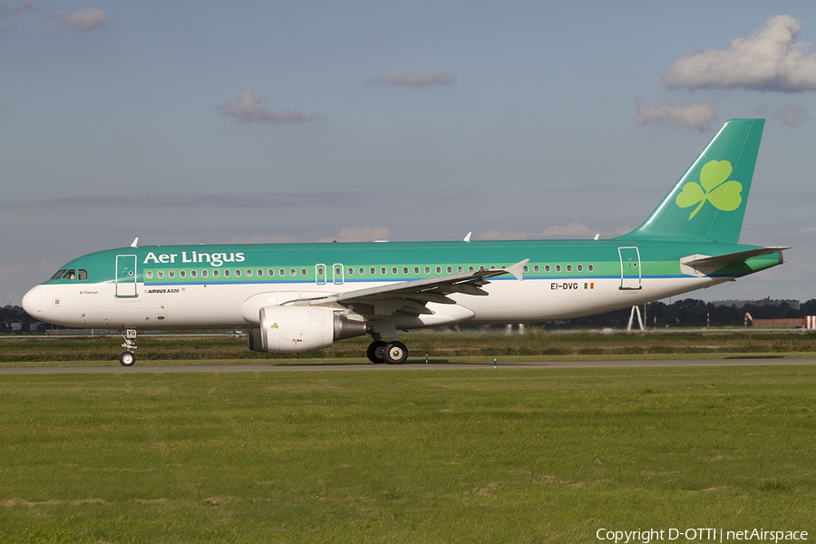 Aer Lingus Airbus A320-214 (EI-DVG) | Photo 313250