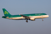 Aer Lingus Airbus A320-214 (EI-DVG) at  Amsterdam - Schiphol, Netherlands