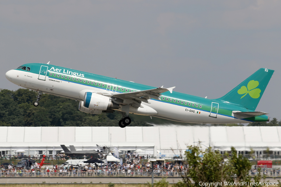 Aer Lingus Airbus A320-214 (EI-DVG) | Photo 522636