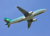 Aer Lingus Airbus A320-214 (EI-DVG) at  Belfast / Aldergrove - International, United Kingdom