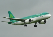 Aer Lingus Airbus A320-214 (EI-DVG) at  Belfast / Aldergrove - International, United Kingdom
