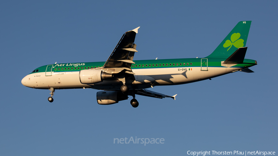 Aer Lingus Airbus A320-214 (EI-DVG) | Photo 440993