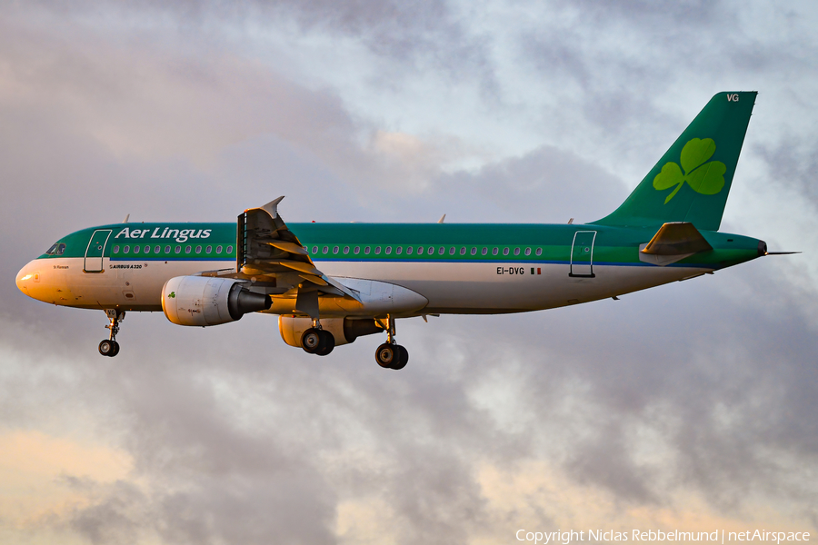 Aer Lingus Airbus A320-214 (EI-DVG) | Photo 452104