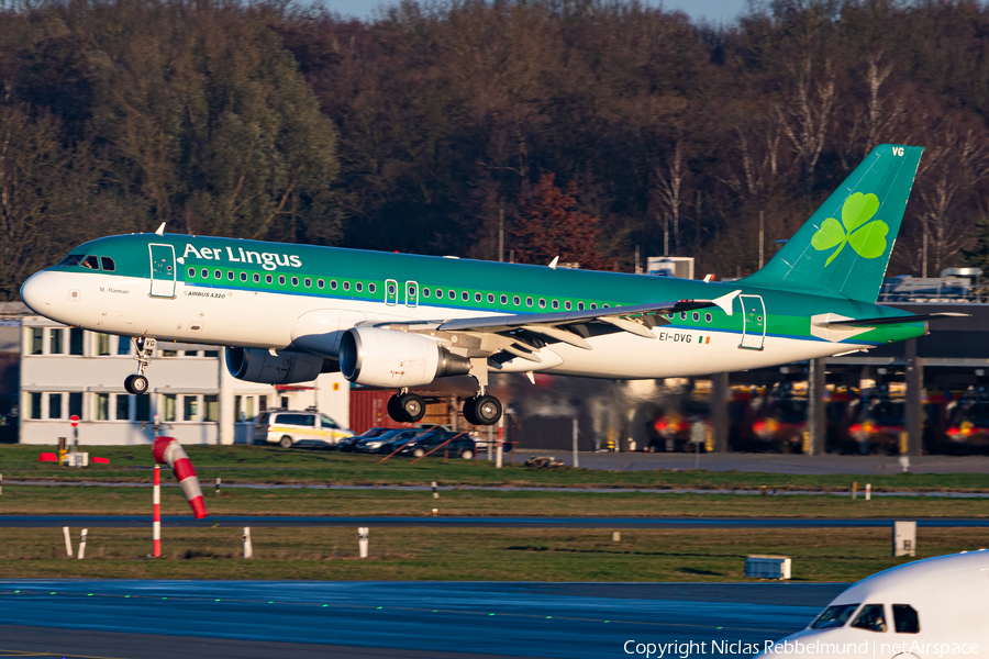 Aer Lingus Airbus A320-214 (EI-DVG) | Photo 482446