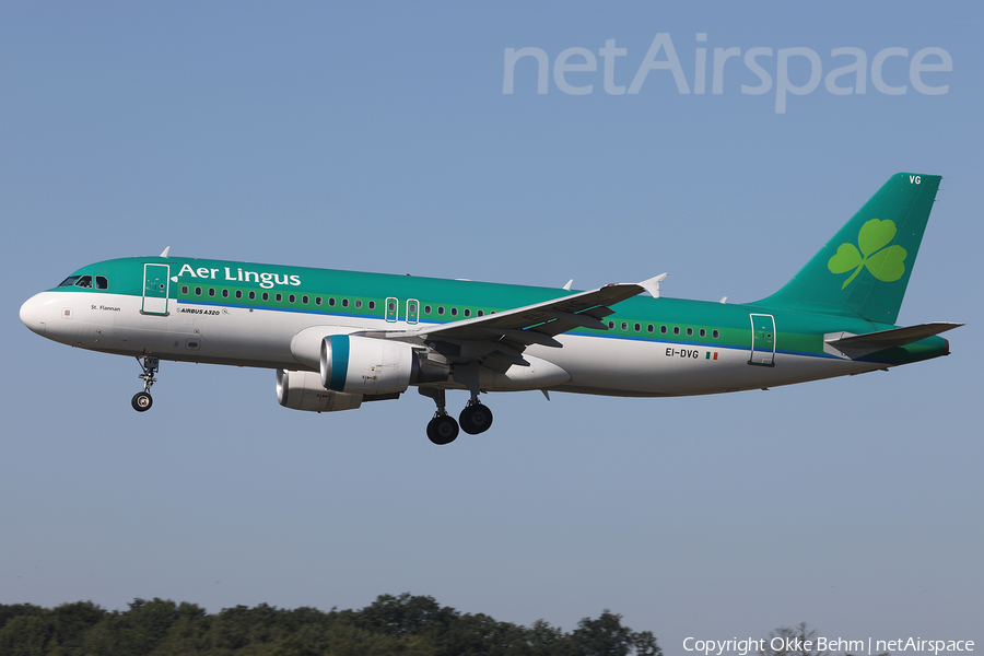 Aer Lingus Airbus A320-214 (EI-DVG) | Photo 522205