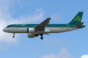 Aer Lingus Airbus A320-214 (EI-DVG) at  London - Gatwick, United Kingdom