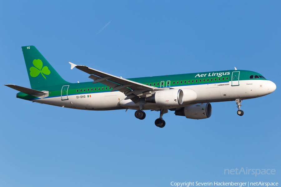 Aer Lingus Airbus A320-214 (EI-DVG) | Photo 226292