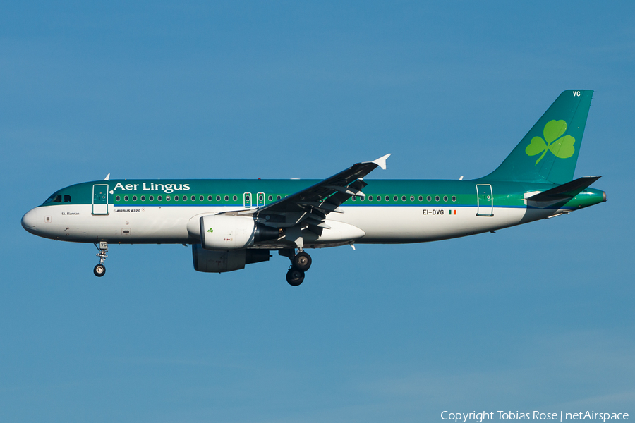 Aer Lingus Airbus A320-214 (EI-DVG) | Photo 300814