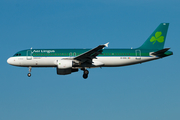 Aer Lingus Airbus A320-214 (EI-DVG) at  London - Heathrow, United Kingdom