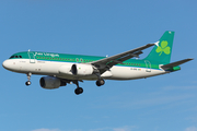 Aer Lingus Airbus A320-214 (EI-DVG) at  London - Heathrow, United Kingdom