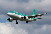 Aer Lingus Airbus A320-214 (EI-DVG) at  London - Heathrow, United Kingdom