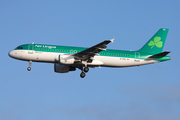 Aer Lingus Airbus A320-214 (EI-DVG) at  London - Heathrow, United Kingdom