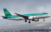 Aer Lingus Airbus A320-214 (EI-DVG) at  Gran Canaria, Spain