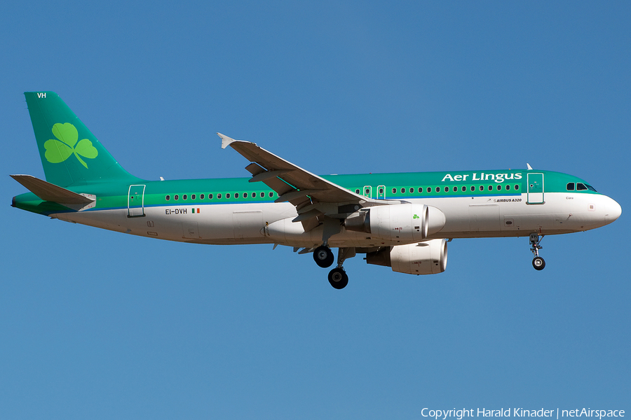 Aer Lingus Airbus A320-214 (EI-DVH) | Photo 303127