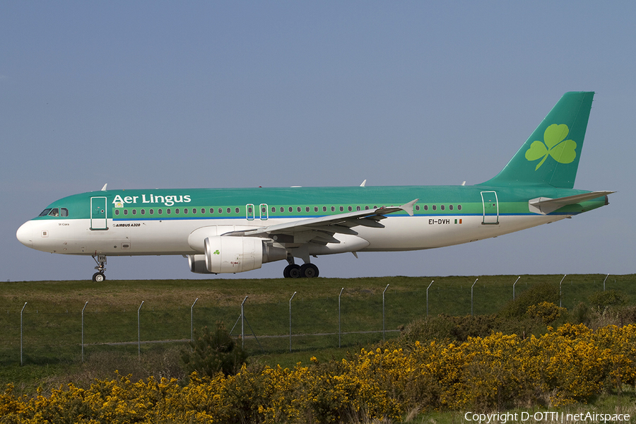 Aer Lingus Airbus A320-214 (EI-DVH) | Photo 289009