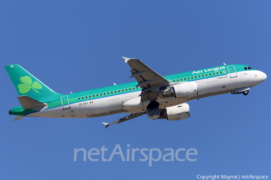 Aer Lingus Airbus A320-214 (EI-DVI) | Photo 131676