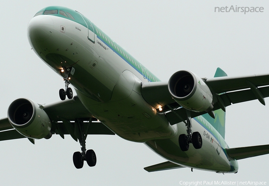 Aer Lingus Airbus A320-214 (EI-DVI) | Photo 38473