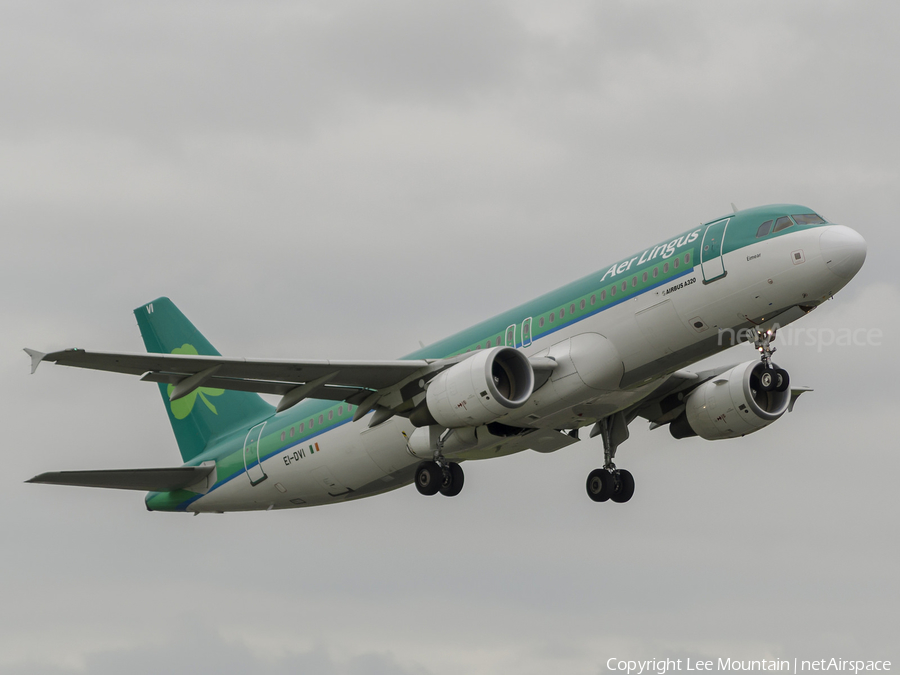 Aer Lingus Airbus A320-214 (EI-DVI) | Photo 110789