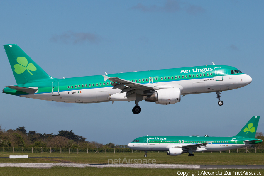Aer Lingus Airbus A320-214 (EI-DVI) | Photo 162375