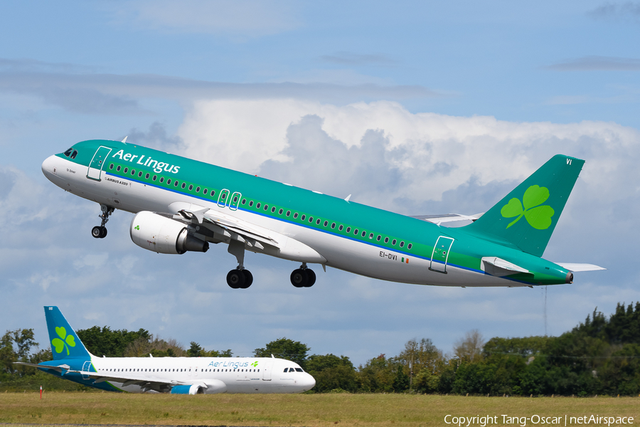 Aer Lingus Airbus A320-214 (EI-DVI) | Photo 611267