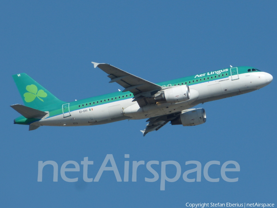 Aer Lingus Airbus A320-214 (EI-DVI) | Photo 423293