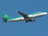 Aer Lingus Airbus A320-214 (EI-DVI) at  Frankfurt am Main, Germany