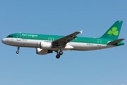 Aer Lingus Airbus A320-214 (EI-DVI) at  Frankfurt am Main, Germany