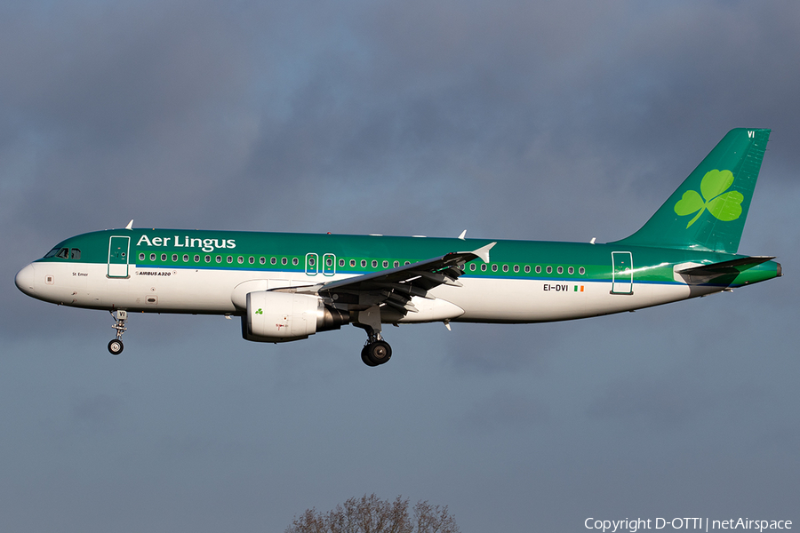 Aer Lingus Airbus A320-214 (EI-DVI) | Photo 376905