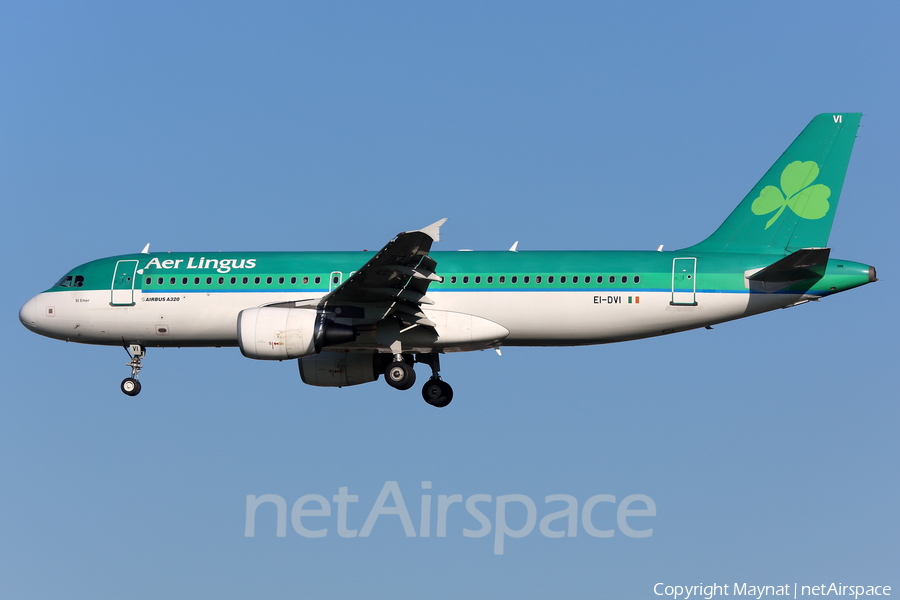 Aer Lingus Airbus A320-214 (EI-DVI) | Photo 227530