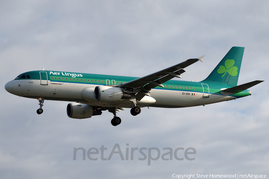 Aer Lingus Airbus A320-214 (EI-DVI) | Photo 401549