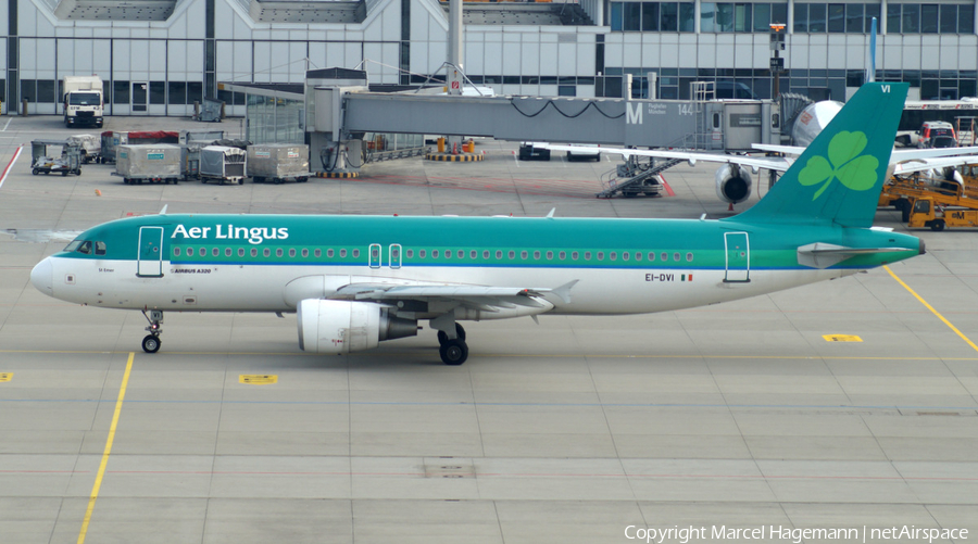 Aer Lingus Airbus A320-214 (EI-DVI) | Photo 117760