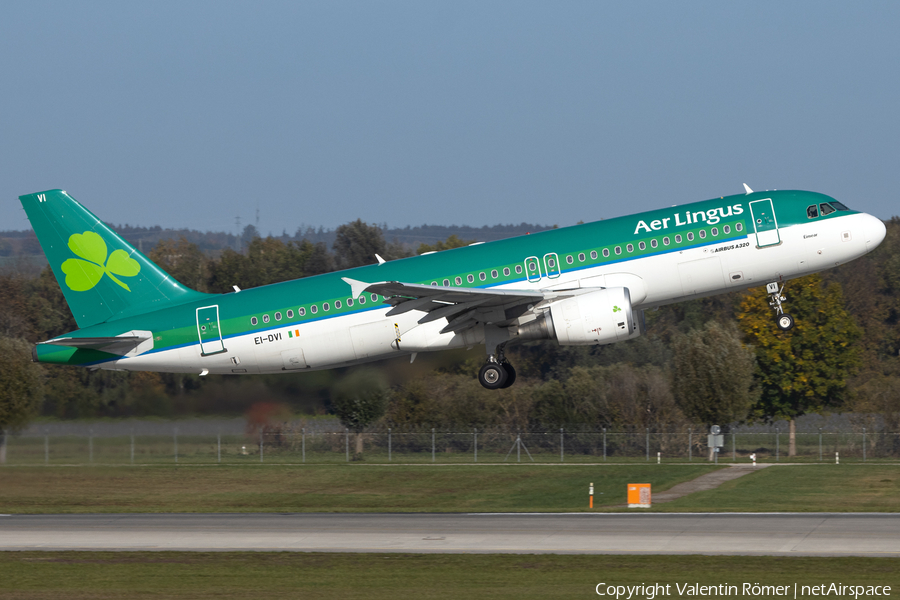 Aer Lingus Airbus A320-214 (EI-DVI) | Photo 538899