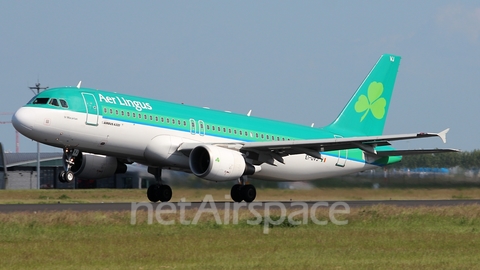 Aer Lingus Airbus A320-214 (EI-DVJ) at  Amsterdam - Schiphol, Netherlands