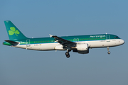 Aer Lingus Airbus A320-214 (EI-DVJ) at  Amsterdam - Schiphol, Netherlands