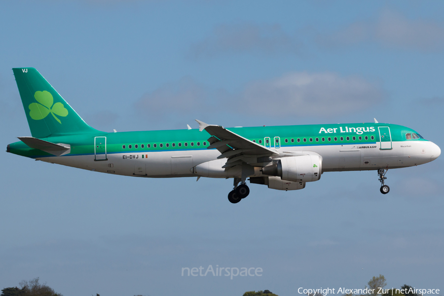 Aer Lingus Airbus A320-214 (EI-DVJ) | Photo 162330