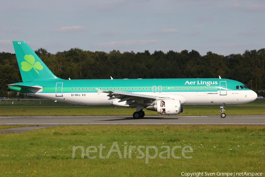 Aer Lingus Airbus A320-214 (EI-DVJ) | Photo 15302